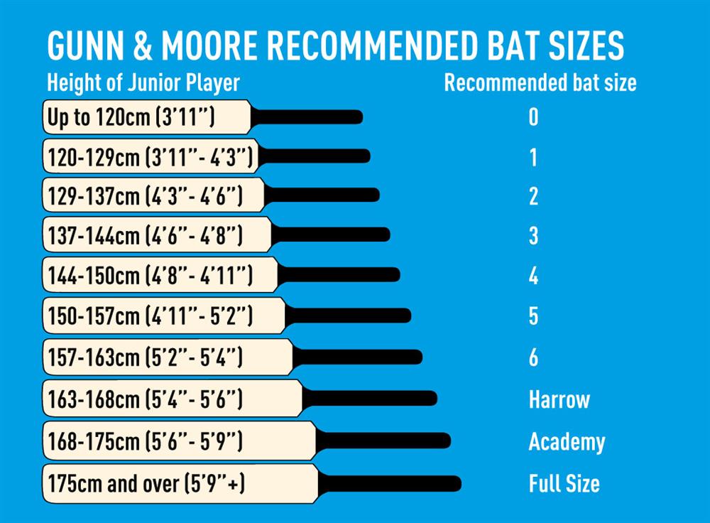 Cricket Bat NEON DXM 303 TT Short Handle English Willow by Gunn & Moore