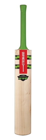 Picture of EVO Blaze Kashmir Willow Cricket Bat by Gray Nicolls