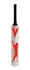 Picture of Autograph Full Size Cricket Bat by Slazenger