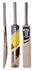 Picture of ACE 404 Cricket Bat by Ihsan