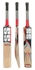 Picture of SS Yuvi 20/20 Cricket Bat Kashmir Willow by Sunridges