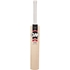 Picture of Flare DXM 505 Cricket Bat by Gunn & Moore