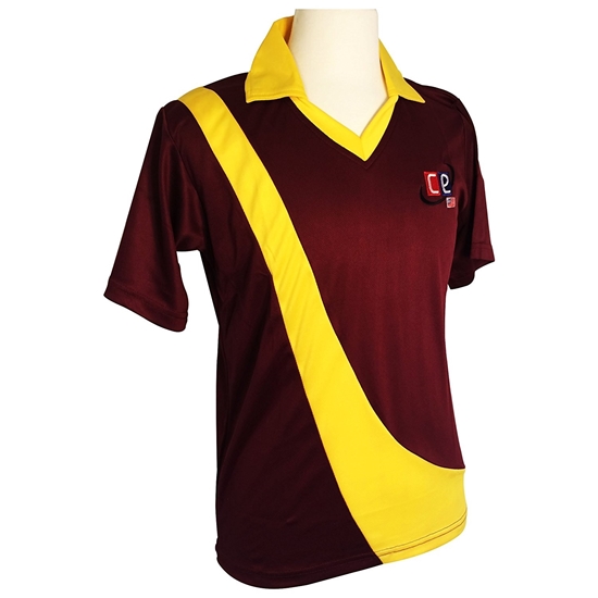 red colour cricket jersey