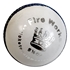 Picture of Cricket Ball White Fireworks by Cricket Equipment USA